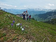 18 la neve se ne va, crescono i crocus...